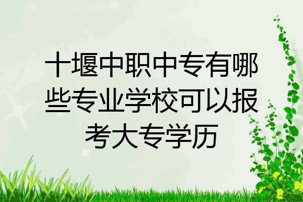 十堰中职中专有哪些专业学校可以报考大专学历