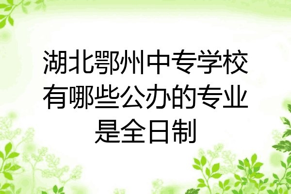 湖北鄂州中专学校有哪些公办的专业是全日制