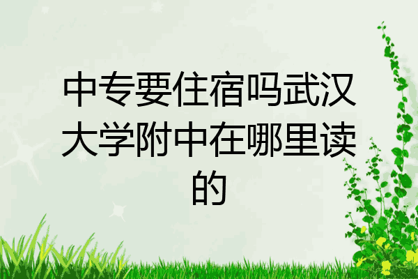 中专要住宿吗武汉大学附中在哪里读的