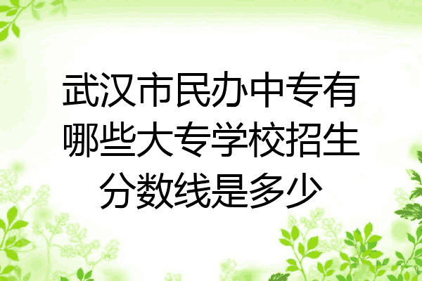 武汉市民办中专有哪些大专学校招生分数线是多少