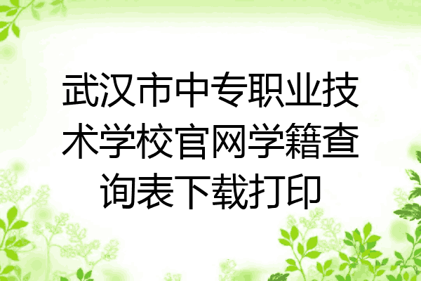 武汉市中专职业技术学校官网学籍查询表下载打印