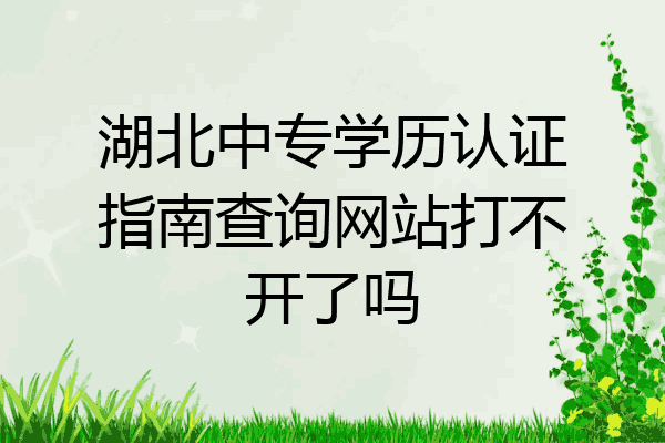 湖北中专学历认证指南查询网站打不开了吗