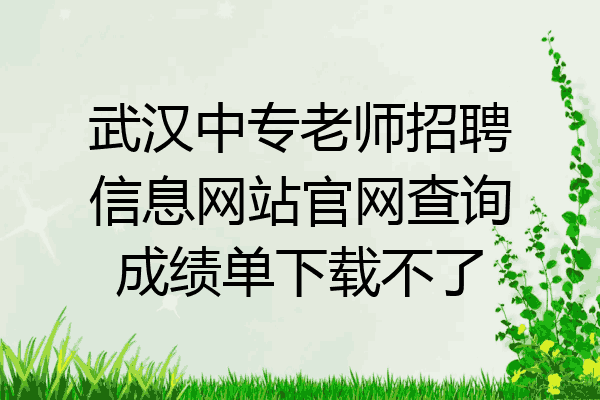 武汉中专老师招聘信息网站官网查询成绩单下载不了