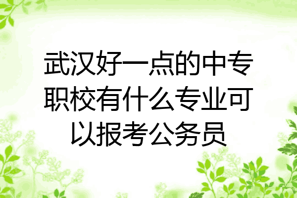 武汉好一点的中专职校有什么专业可以报考公务员