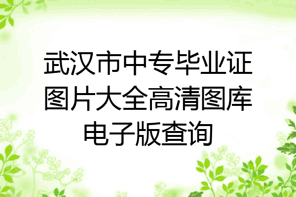 武汉市中专毕业证图片大全高清图库电子版查询