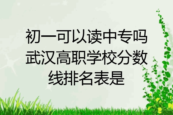初一可以读中专吗武汉高职学校分数线排名表是