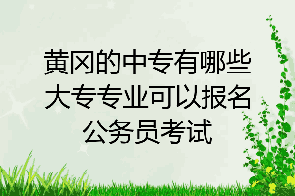 黄冈的中专有哪些大专专业可以报名公务员考试