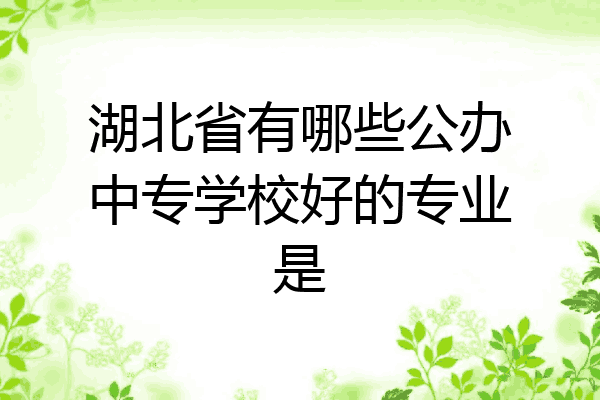 湖北省有哪些公办中专学校好的专业是