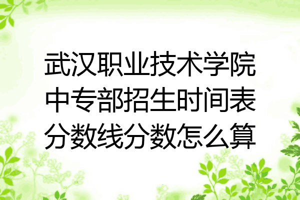 武汉职业技术学院中专部招生时间表分数线分数怎么算