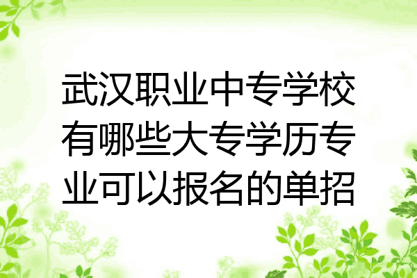 武汉职业中专学校有哪些大专学历专业可以报名的单招