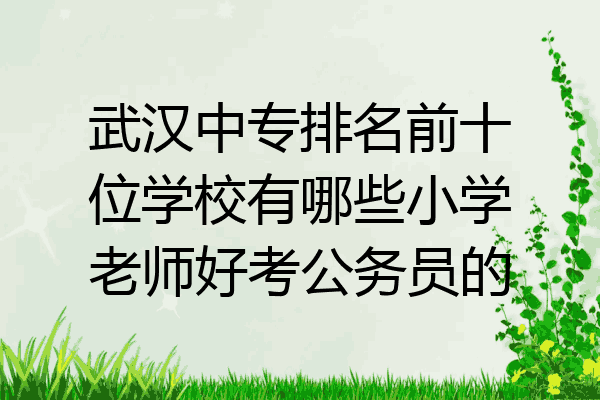 武汉中专排名前十位学校有哪些小学老师好考公务员的