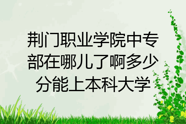 荆门职业学院中专部在哪儿了啊多少分能上本科大学