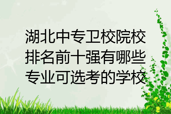 湖北中专卫校院校排名前十强有哪些专业可选考的学校