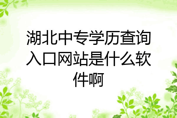 湖北中专学历查询入口网站是什么软件啊