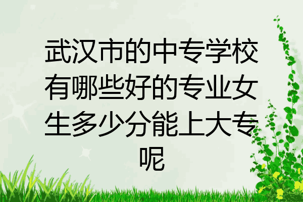 武汉市的中专学校有哪些好的专业女生多少分能上大专呢