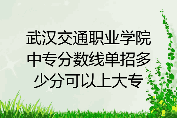 武汉交通职业学院中专分数线单招多少分可以上大专
