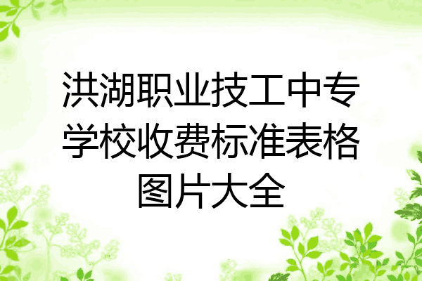 洪湖职业技工中专学校收费标准表格图片大全
