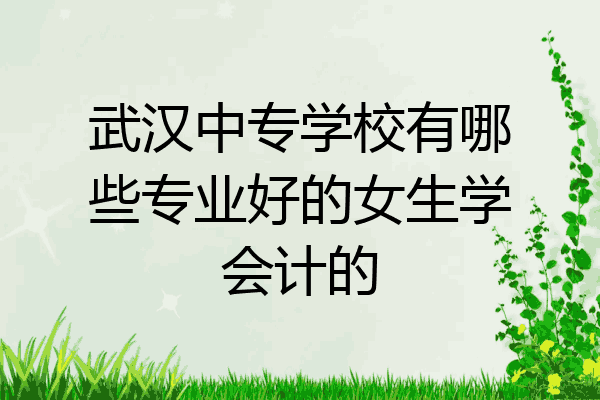 武汉中专学校有哪些专业好的女生学会计的