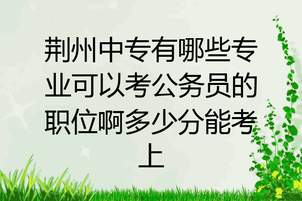 荆州中专有哪些专业可以考公务员的职位啊多少分能考上