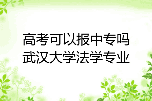高考可以报中专吗武汉大学法学专业