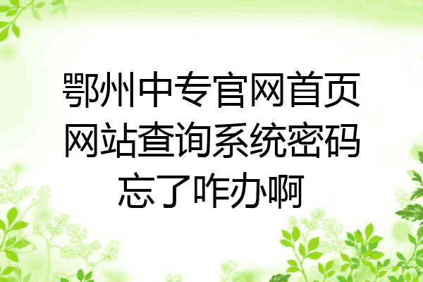 鄂州中专官网首页网站查询系统密码忘了咋办啊