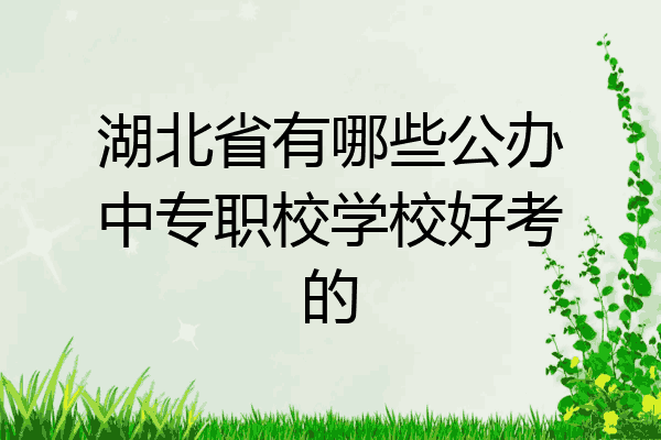 湖北省有哪些公办中专职校学校好考的