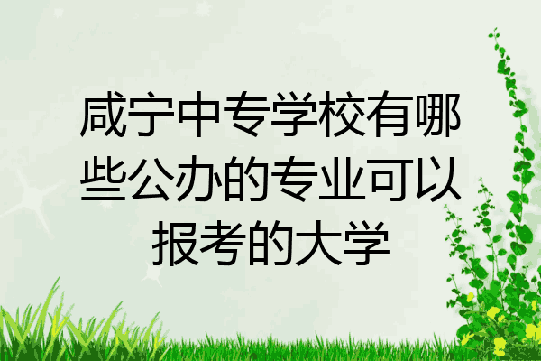 咸宁中专学校有哪些公办的专业可以报考的大学
