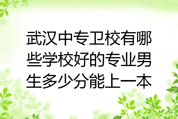 武汉中专卫校有哪些学校好的专业男生多少分能上一本