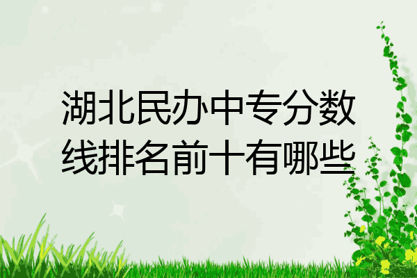 湖北民办中专分数线排名前十有哪些