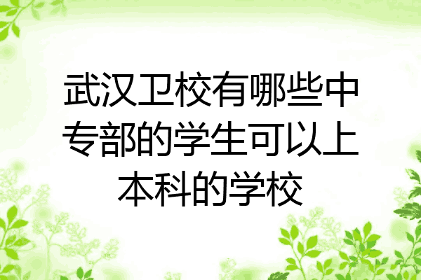 武汉卫校有哪些中专部的学生可以上本科的学校