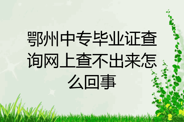 鄂州中专毕业证查询网上查不出来怎么回事