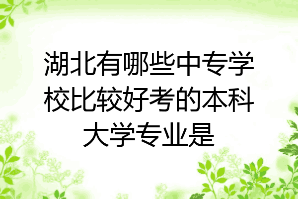 湖北有哪些中专学校比较好考的本科大学专业是