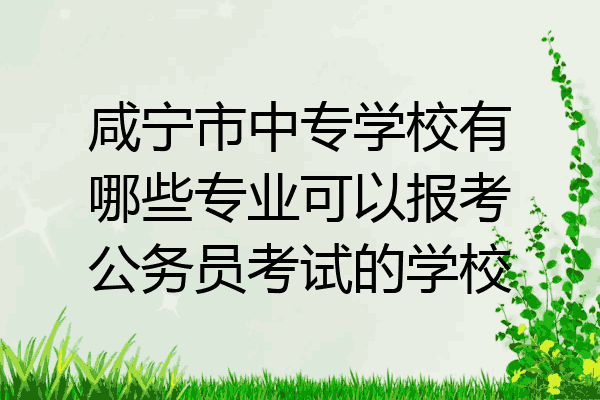 咸宁市中专学校有哪些专业可以报考公务员考试的学校