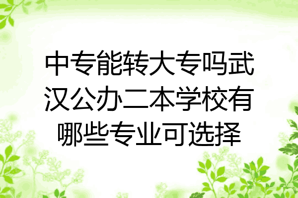 中专能转大专吗武汉公办二本学校有哪些专业可选择