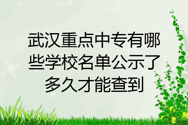 武汉重点中专有哪些学校名单公示了多久才能查到