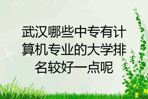 武汉哪些中专有计算机专业的大学排名较好一点呢
