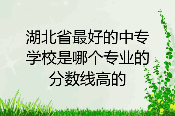 湖北省最好的中专学校是哪个专业的分数线高的