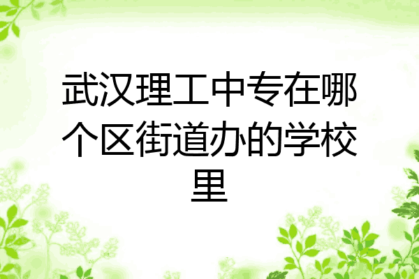 武汉理工中专在哪个区街道办的学校里