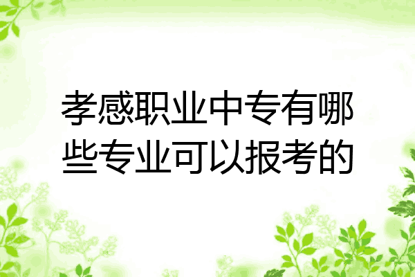孝感职业中专有哪些专业可以报考的