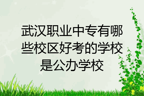 武汉职业中专有哪些校区好考的学校是公办学校