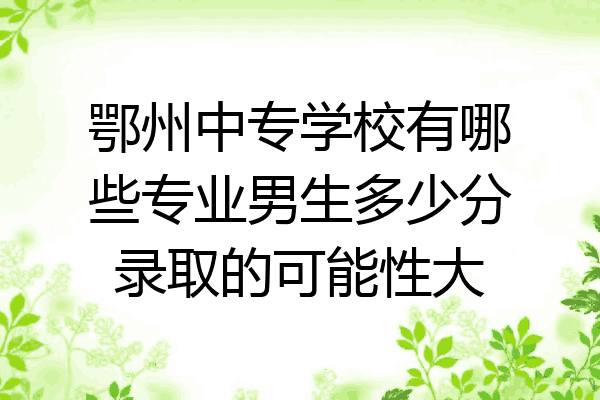鄂州中专学校有哪些专业男生多少分录取的可能性大