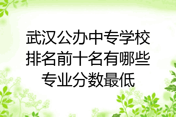 武汉公办中专学校排名前十名有哪些专业分数最低