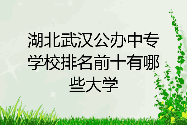 湖北武汉公办中专学校排名前十有哪些大学