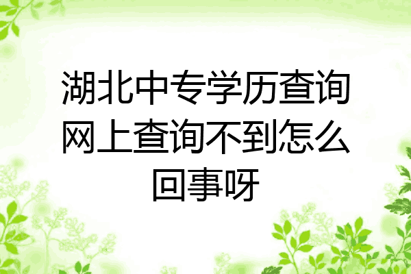 湖北中专学历查询网上查询不到怎么回事呀