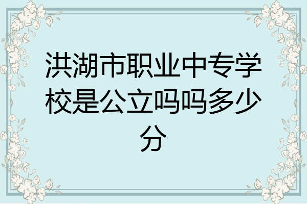 洪湖市职业中专学校是公立吗吗多少分
