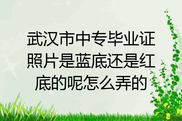 武汉市中专毕业证照片是蓝底还是红底的呢怎么弄的