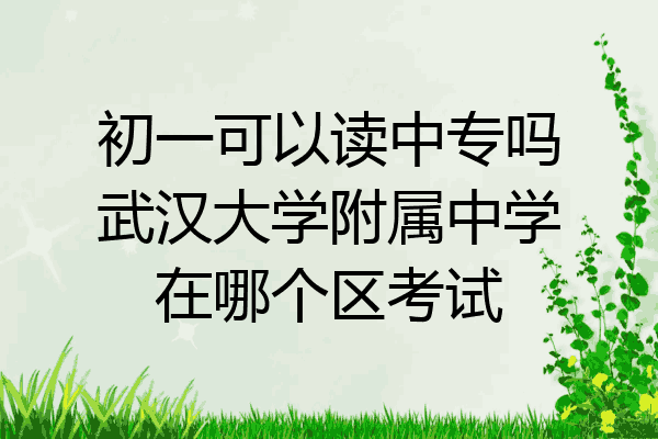初一可以读中专吗武汉大学附属中学在哪个区考试
