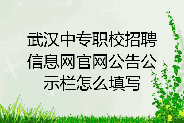 武汉中专职校招聘信息网官网公告公示栏怎么填写