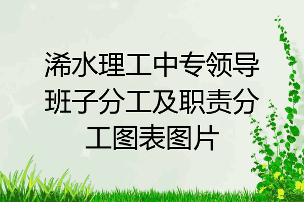 浠水理工中专领导班子分工及职责分工图表图片