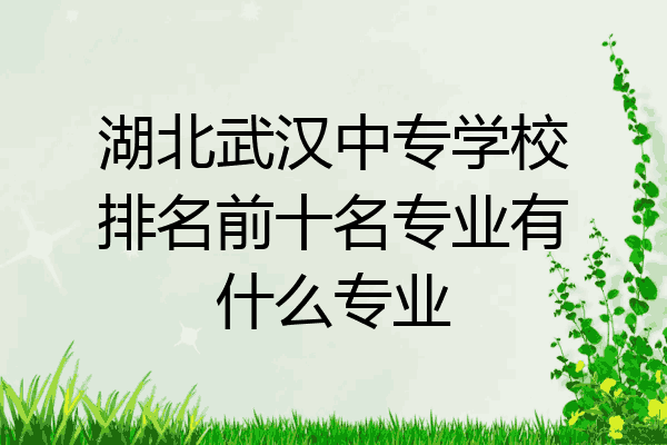 湖北武汉中专学校排名前十名专业有什么专业